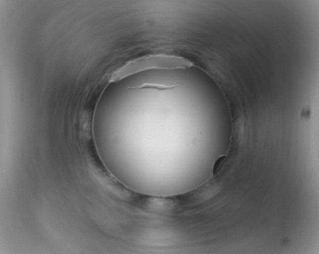 X0000113580234200910091509