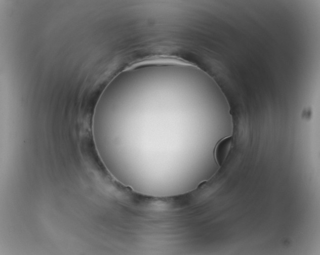 X0000113580236200910091509