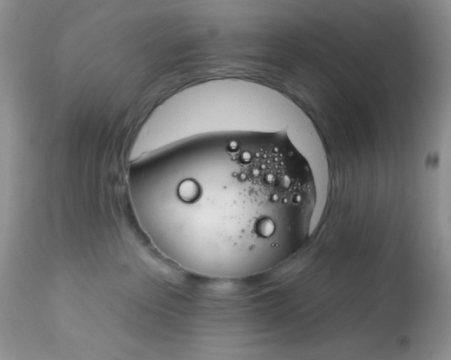 X0000113580237200910091509