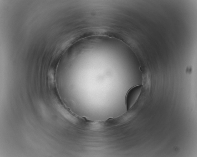 X0000113580238200910091509