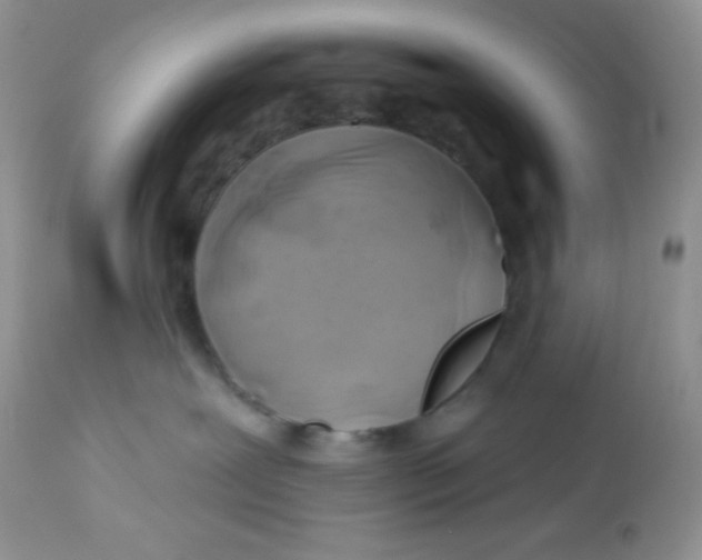 X0000113580239200910091509