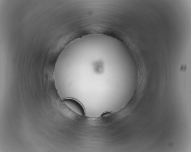 X0000113580240200910091509