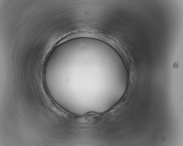 X0000113580241200910091509