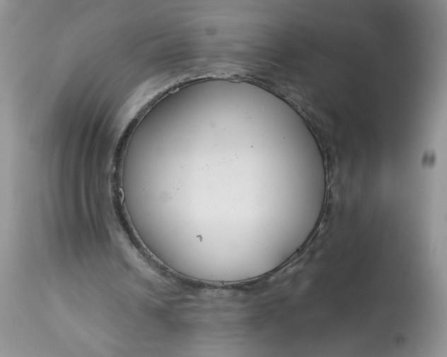 X0000113580242200910091509