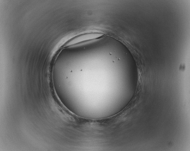 X0000113580244200910091509