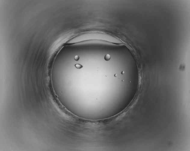 X0000113580245200910091509