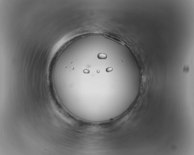 X0000113580246200910091509