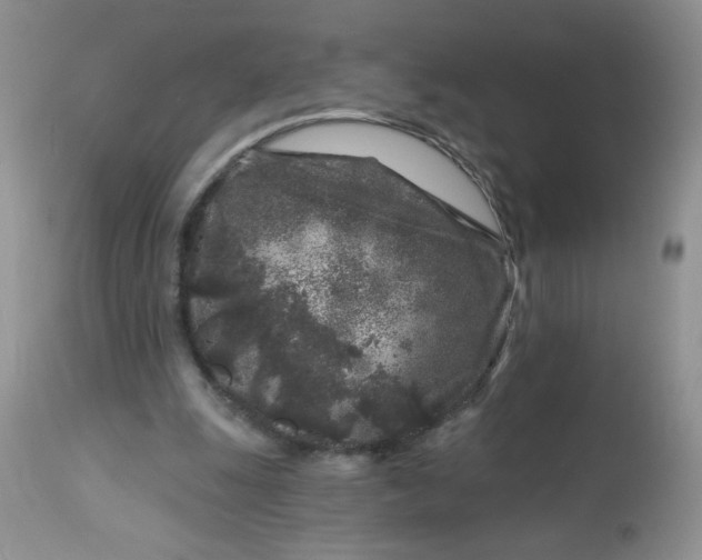 X0000113580247200910091509