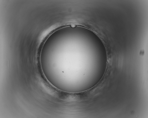 X0000113580248200910091509