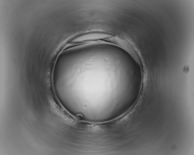 X0000113580249200910091509