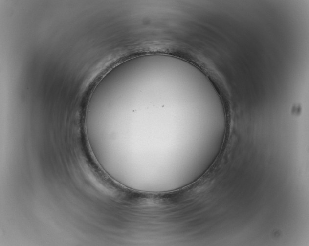 X0000113580250200910091509