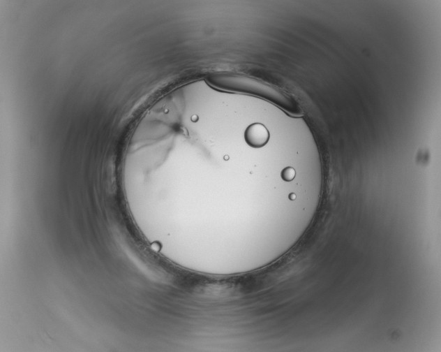 X0000113580251200910091509