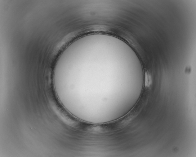 X0000113580253200910091509