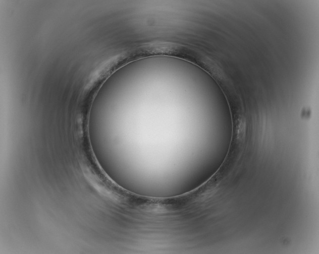 X0000113580254200910091509