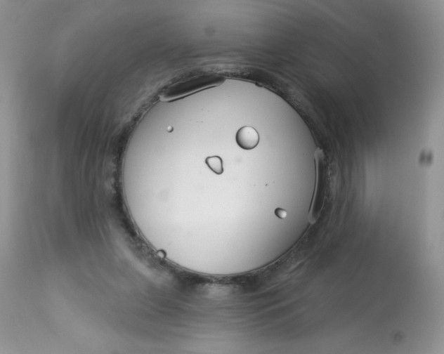 X0000113580255200910091509