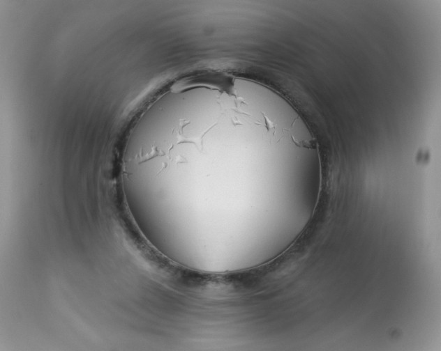 X0000113580256200910091509