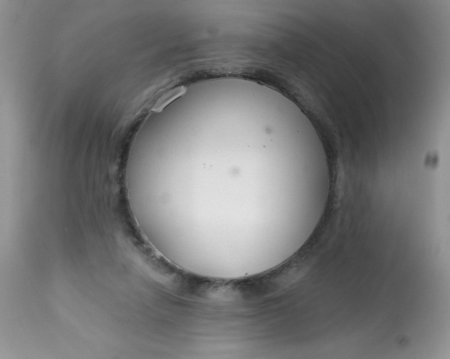 X0000113580258200910091509