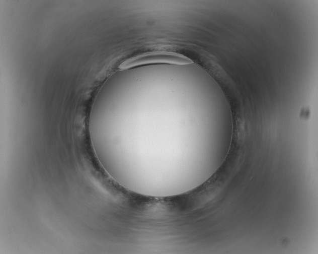 X0000113580259200910091509