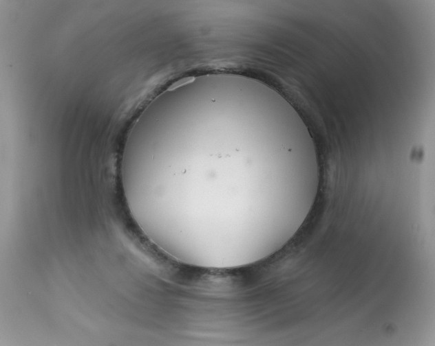 X0000113580260200910091509