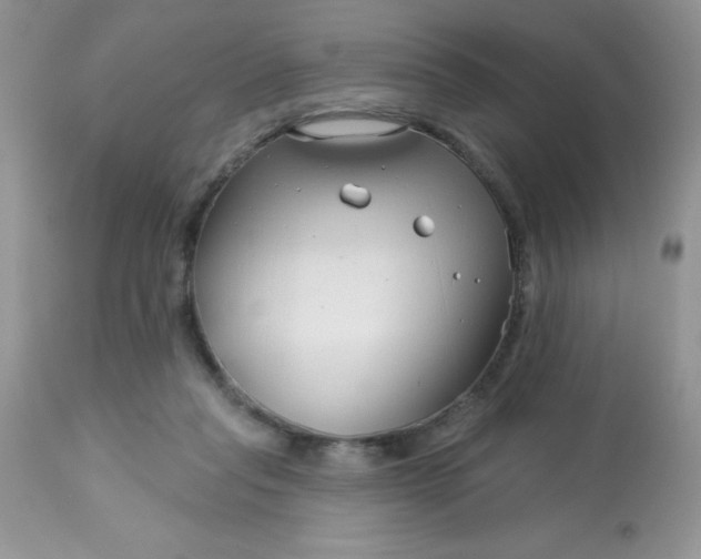 X0000113580261200910091509