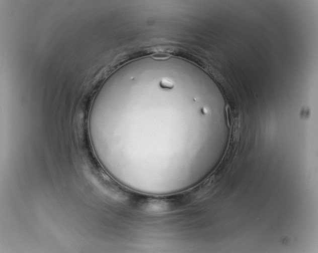 X0000113580263200910091509