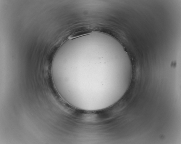 X0000113580266200910091509