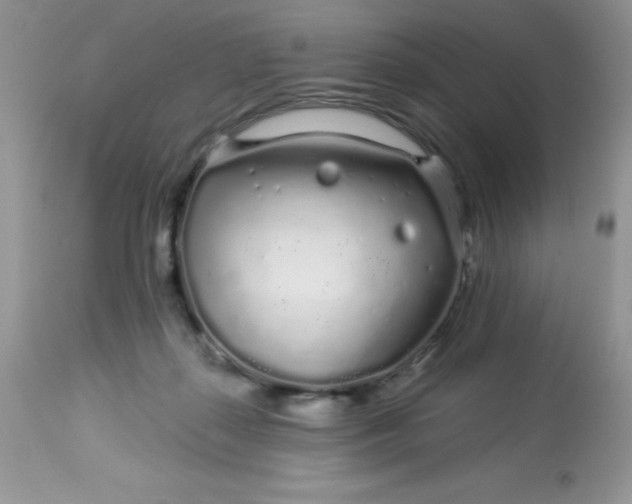 X0000113580267200910091509