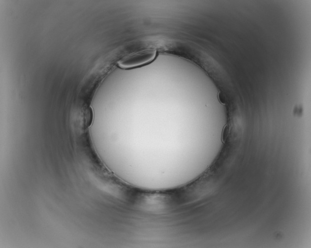 X0000113580268200910091509