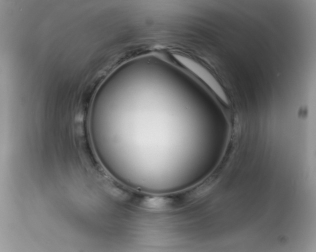 X0000113580269200910091509