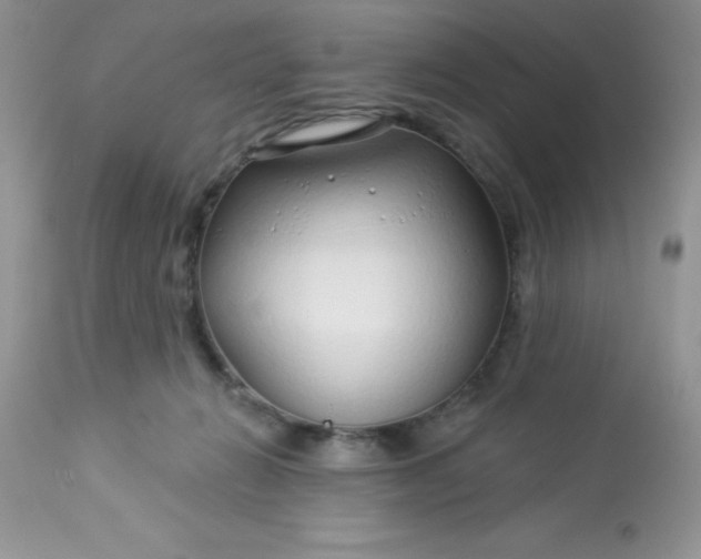 X0000113580270200910091509