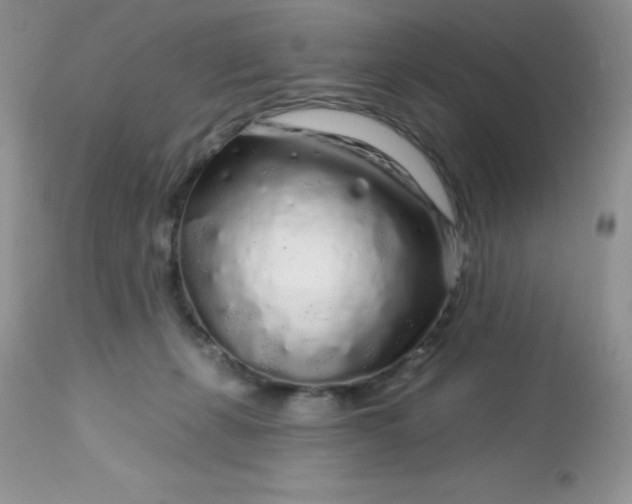 X0000113580271200910091509