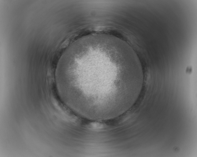 X0000113580272200910091509