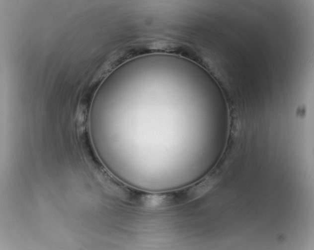 X0000113580273200910091509