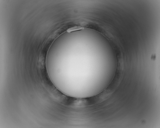 X0000113580274200910091509