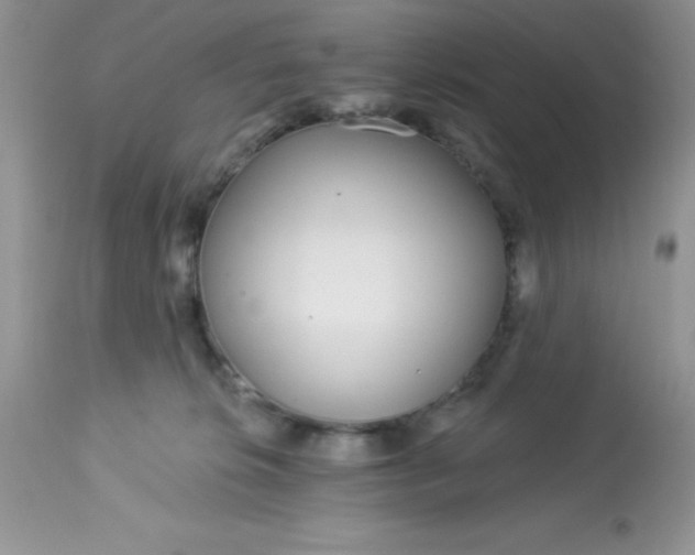 X0000113580276200910091509