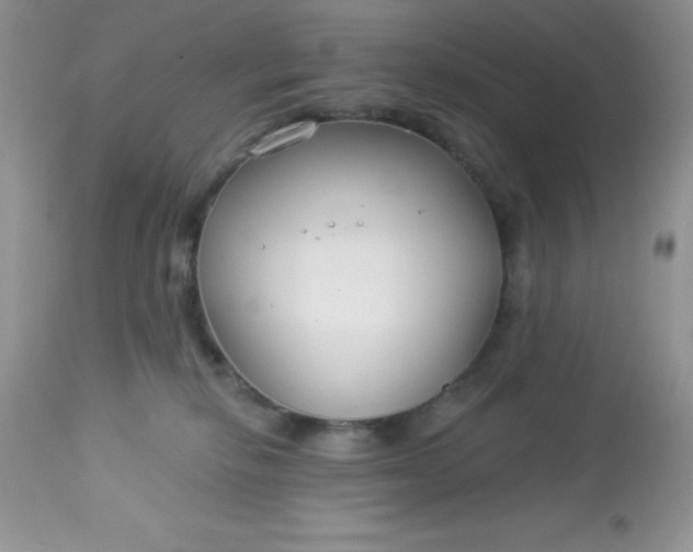 X0000113580278200910091509