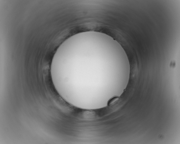 X0000113580279200910091509