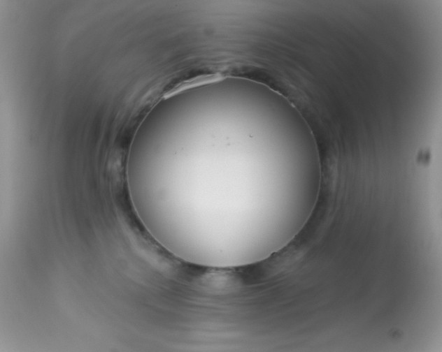 X0000113580280200910091509