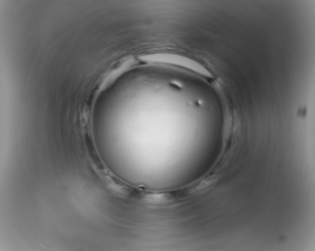 X0000113580281200910091509