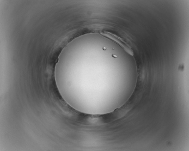 X0000113580283200910091509