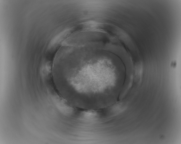 X0000113580284200910091509