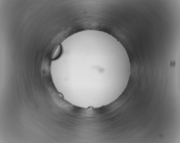 X0000113580287200910091509