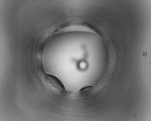 X0000113580288200910091509