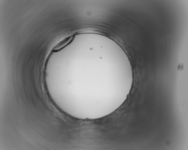 X0000113580289200910091508