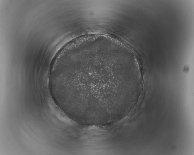 X0000113580290200910091508