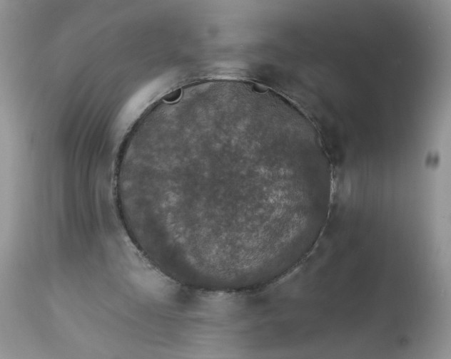 X0000113580293200910091508