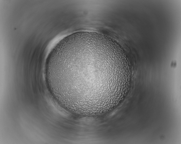 X0000113580294200910091508