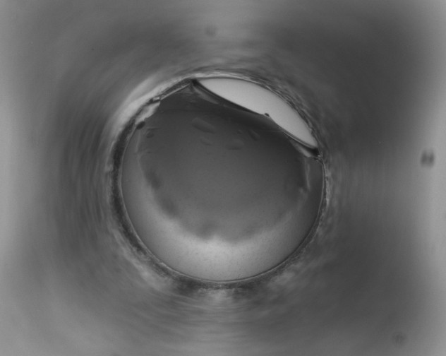 X0000113580295200910091508