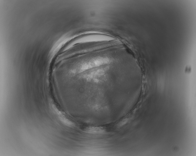 X0000113580296200910091508