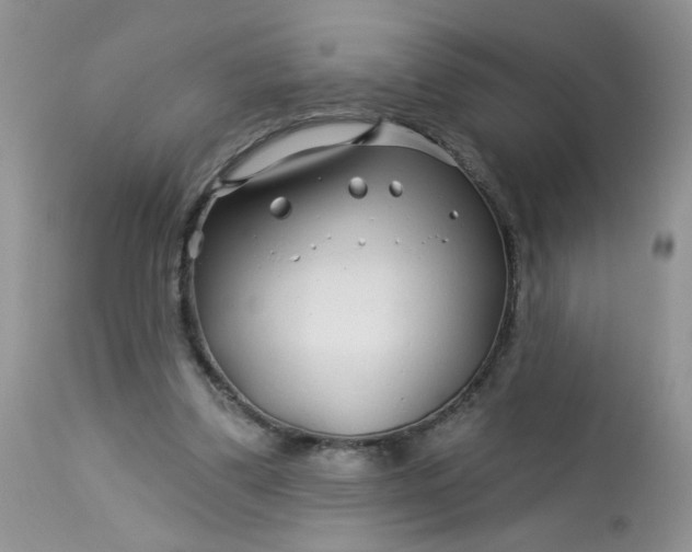 X0000113580299200910091508